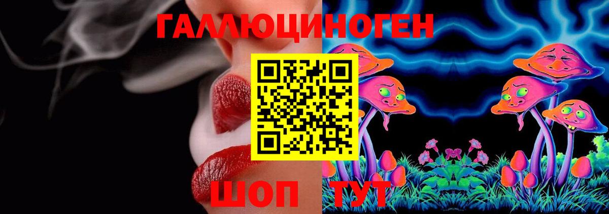дарнет шоп  Вход с VPN  Ангарск  Галлюциногенные грибы Psilocybe 